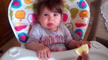 Funny videos: Babies Eating Lemons For The First Time Compilation