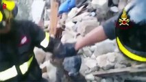 Italie, deux chats sont retrouvés vivants deux semaines après le séisme