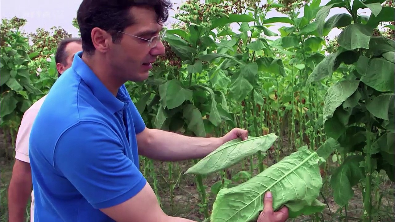 Vivre heureux au pied de l'Olympe