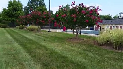 Salzano Custom Concrete, Informational, Concrete Cracks, Part 1