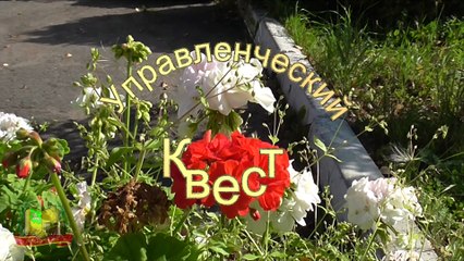 Управленческий квест