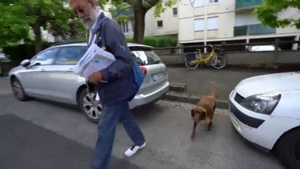 Près de 25.000 signatures pour que le facteur puisse refaire sa tournée avec sa chienne