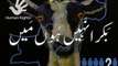 Urdu poetry on Eid-ul-Azha bakra naheen hoon main بَکرا نہیں ہُوں میں