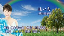 迷い鳥 (迷途之鳥) 小林幸子 演唱.......范家華上傳