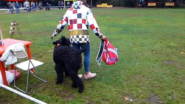 соревнования по ОКД-ЗКС