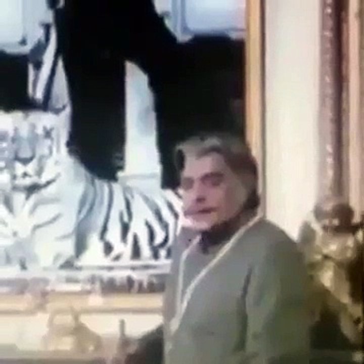 Funny Mime 2016