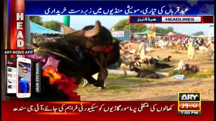 Headlines 1900 -12th September 2016