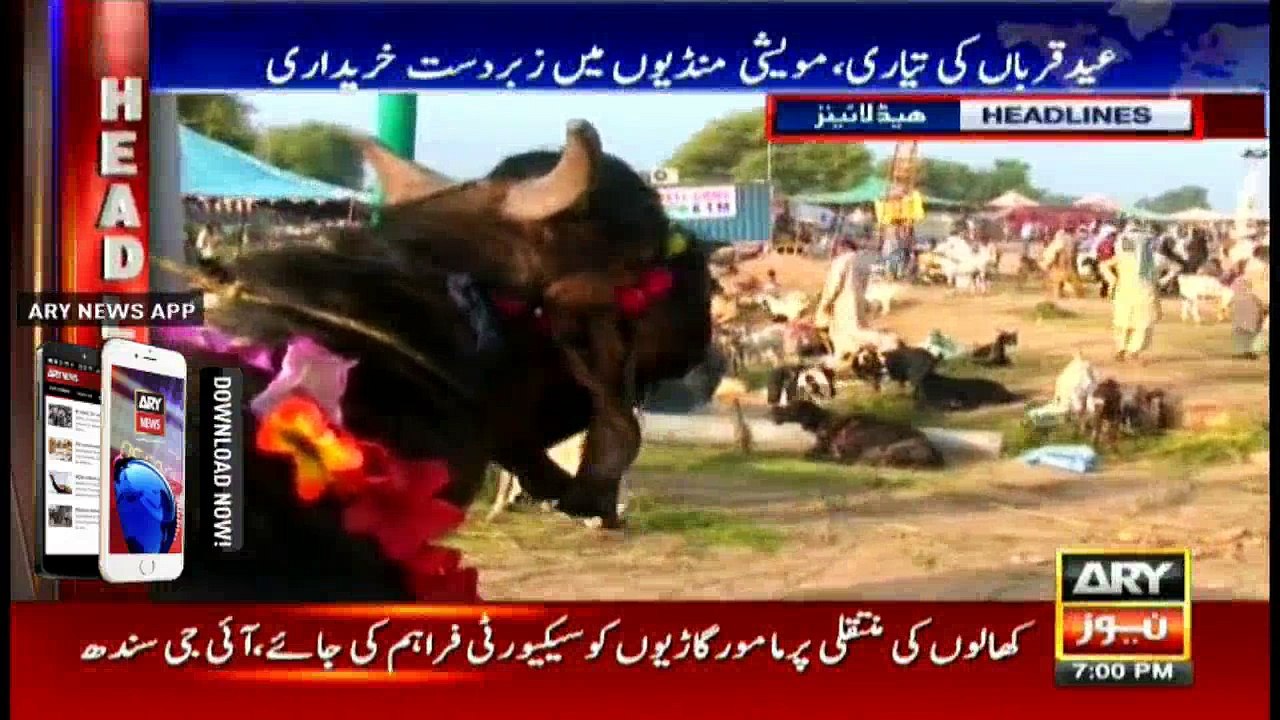 Headlines 1900 -12th September 2016