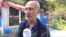 Zonguldak'ta Kaçan Kurbanlık Boğa 6 Saat Sonra Yakalandı