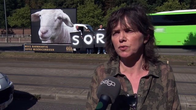 Gaia dénonce l'abattage sans étourdissement lors de la Fête du sacrifice