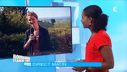 Direct  : La restauration du jardin à la française de la Maison Jacques Copeau