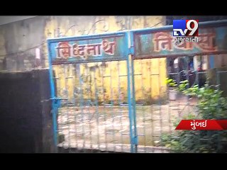 Kalyan cop saved by his brave pet dog in brawl - Tv9 Gujarati