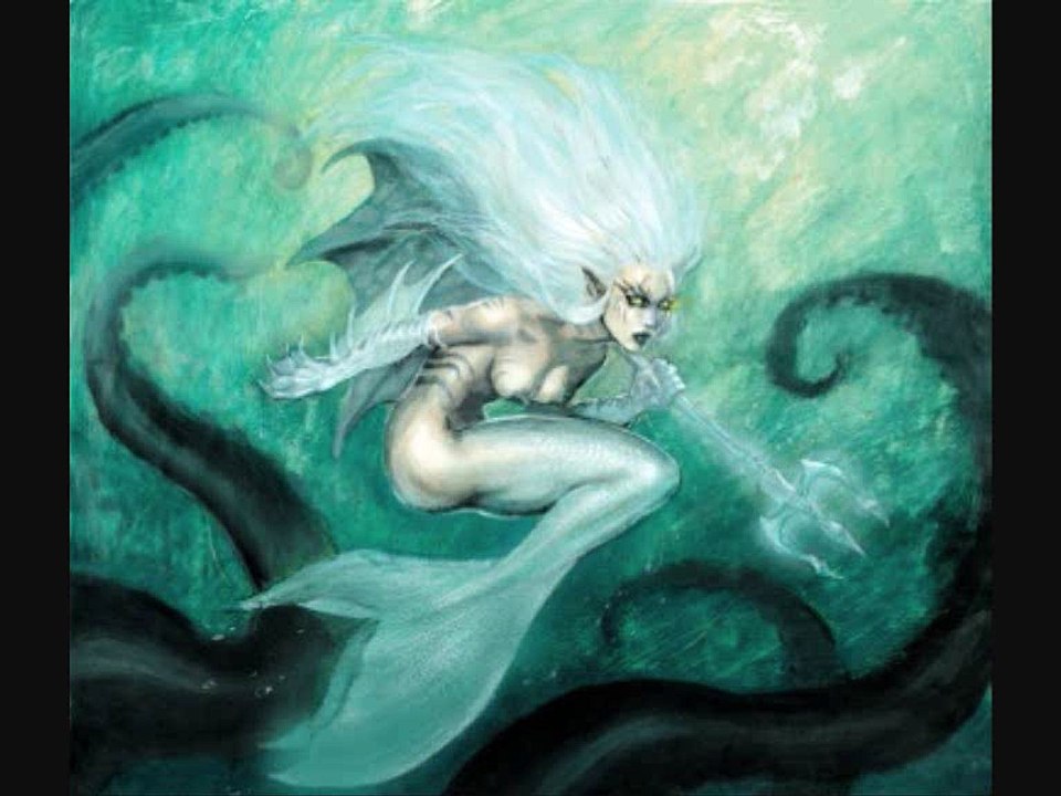 FDS ( travail partie clavier + boite à rythme °