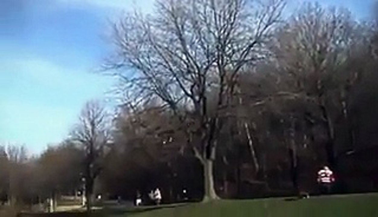 OMG!!! Golden Eagle is Snatching a Kid