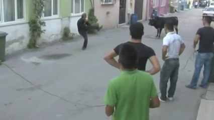 Danayı Durdurmak İçin Karate Yapan Adam