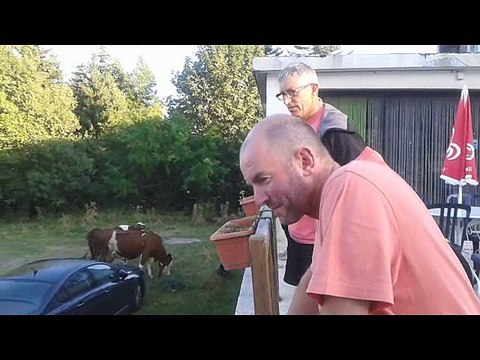 Cilps vidéos les Alpes Sept 2016