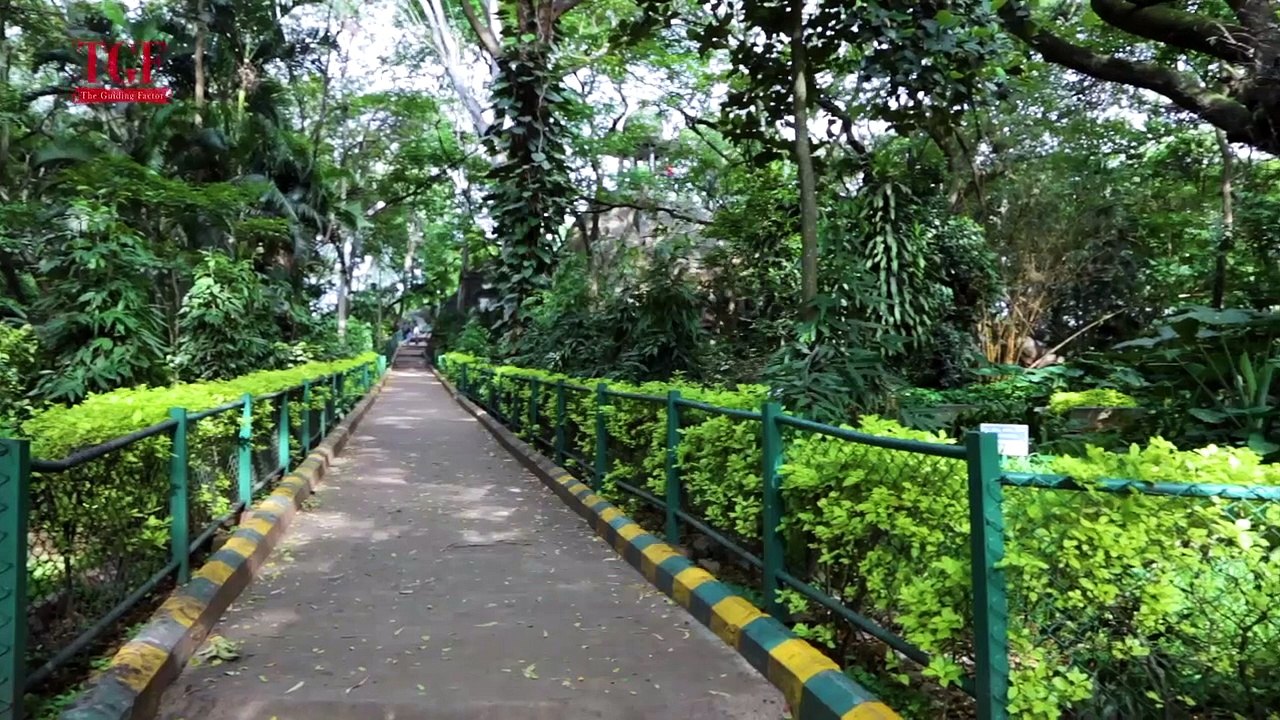 Discover the Cultural Side of Bangalore
