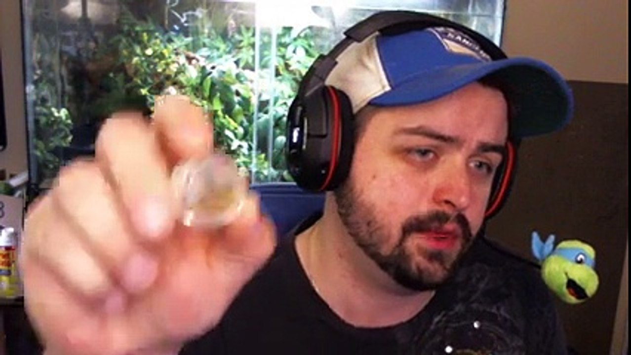 CBD Crumble, Tea and Upcoming Products by Green Roads World