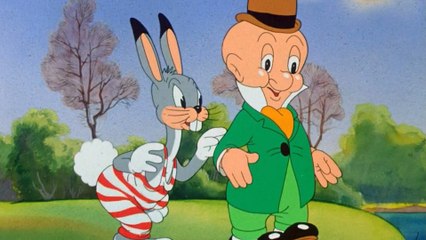 La Camara Oculta de Elmer - Dibujos Animados - www.cuentosinfantiles.video