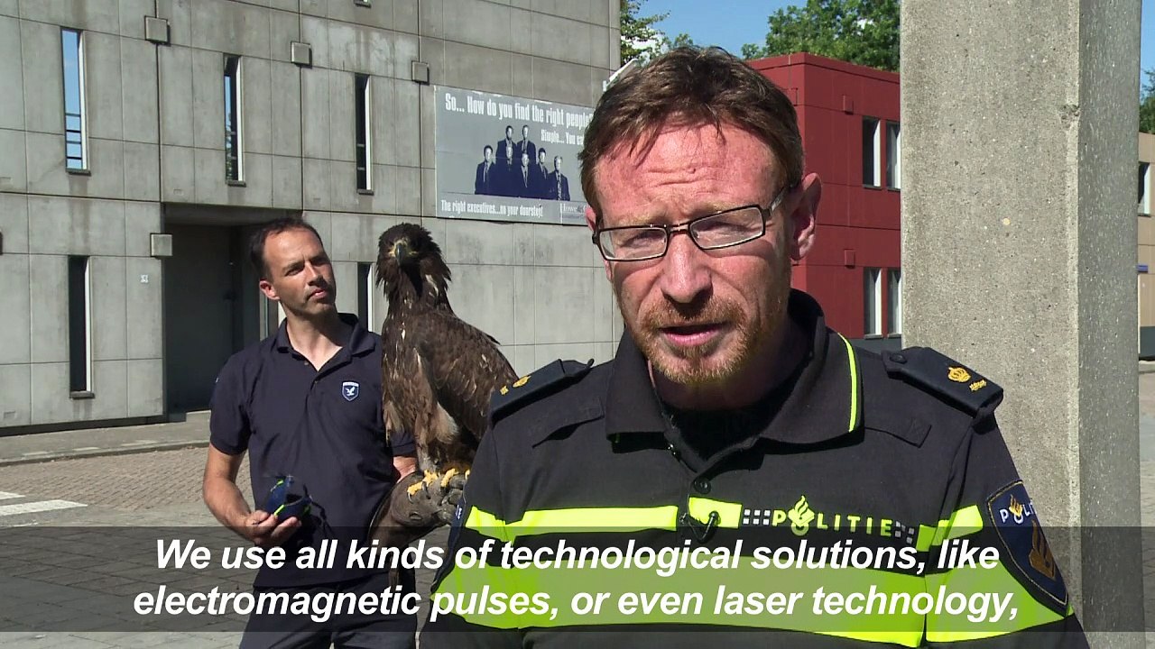 Eagles away! Dutch police unveil latest recruits against drones