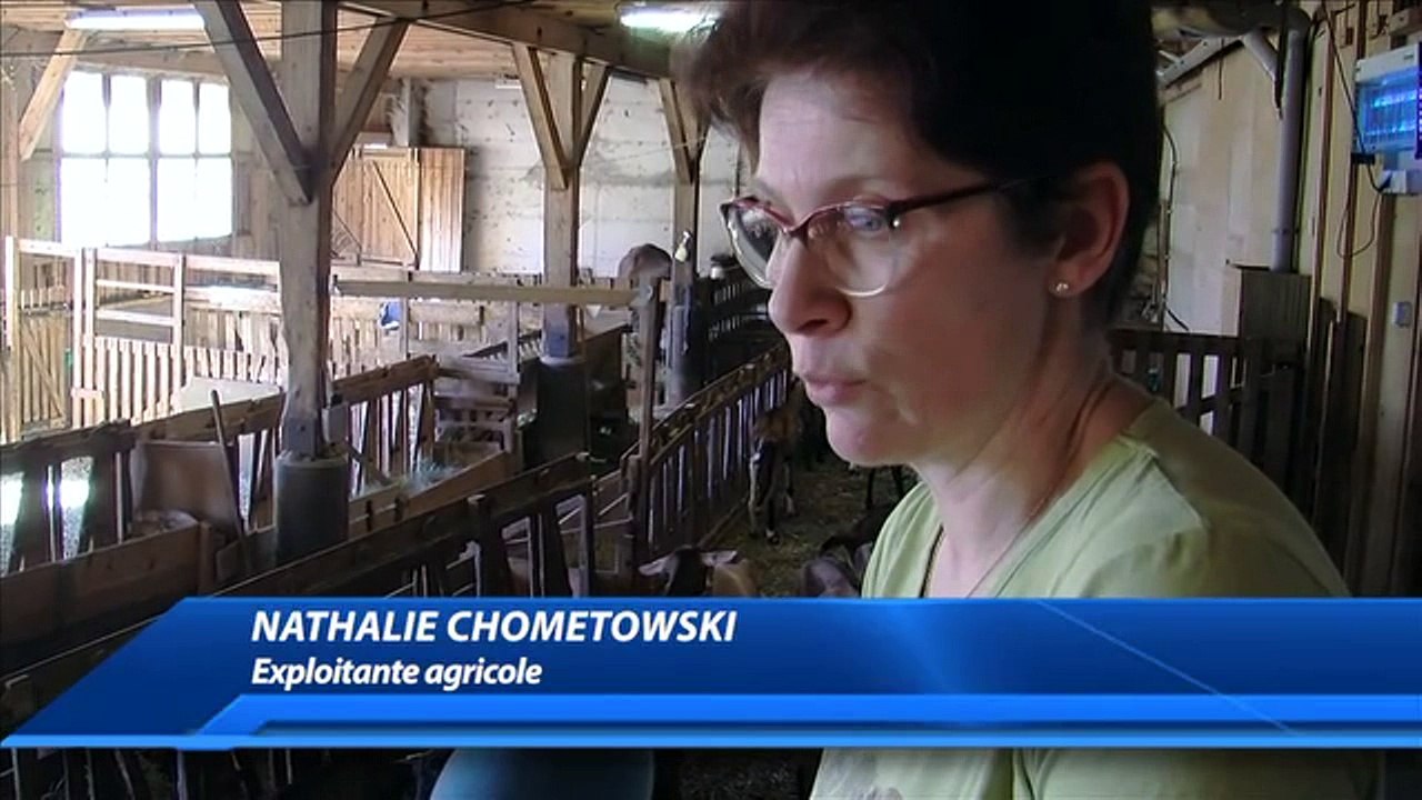 Hautes-Alpes : À Névache, petit cours sur le fromage de chèvre à la chèvrerie de la Clarée