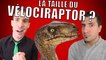 IDÉE REÇUE #12 : La taille du Vélociraptor (feat. Taupe10)
