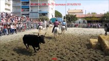 GRAU DU ROI-Tri 70 taureaux-2016-09-10-soixante-dix toros