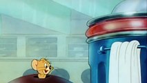 ---Tom and Jerry - Bowling Alley Cat -