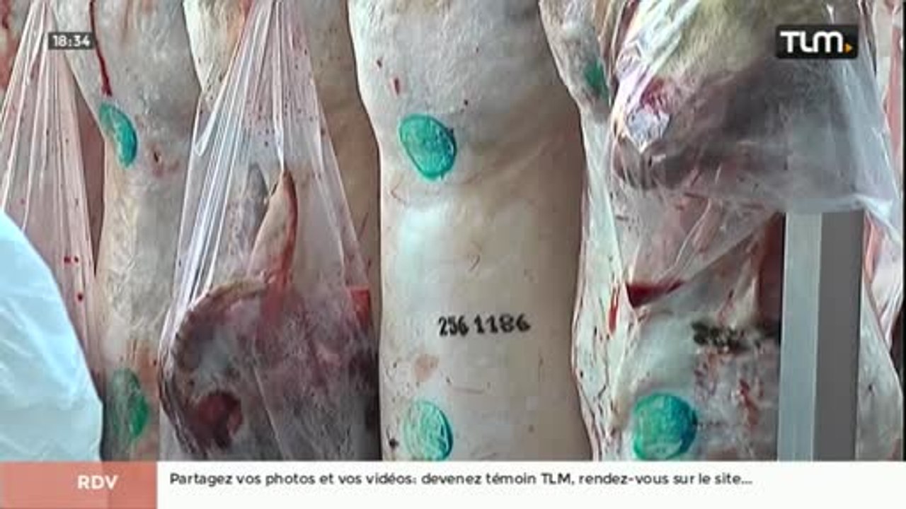 Fête de l'Aîd: marché aux moutons à Corbas