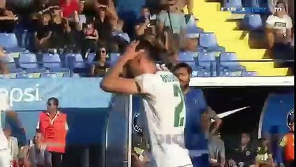 Fc Viitorul Constanta - Concordia Chiajna 2-1