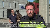 Aigles vs drones:les nouvelles recrues de la police néerlandaise