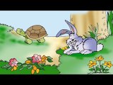 Tavşan İle Kaplumbağa Ezop Masalları