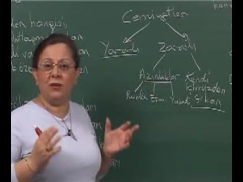 Tarih - 19. Kurtuluş Savaşının Hazırlık Dönemi - 1