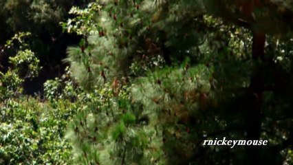 Close Calls Compilation