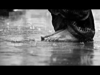 Senai Demirci - Korkuyorum