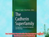 [PDF] The Cadherin Superfamily: Key Regulators of Animal Development and Physiology Full Colection