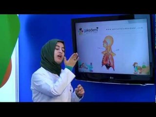 İlköğretim 4. Sınıf Fen ve Teknoloji Eğitim Seti Soluk Alıp Verme