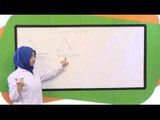 6. Sınıf Matematik Görüntülü Eğitim Seti (Çarpanlar Ve Katlar)