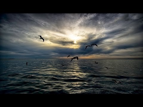 Tin Suresi Arapça Okunuşu ve Türkçe Meali Fatih Çollak