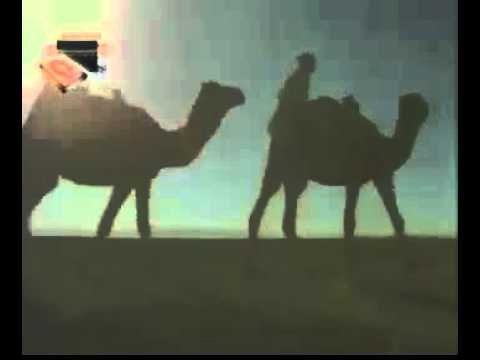 Gel Gidelim - Feridün Eroğlu