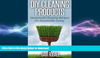 FAVORITE BOOK  DIY Cleaning Products: Homemade Cleaning Recipes for Sustainable Living