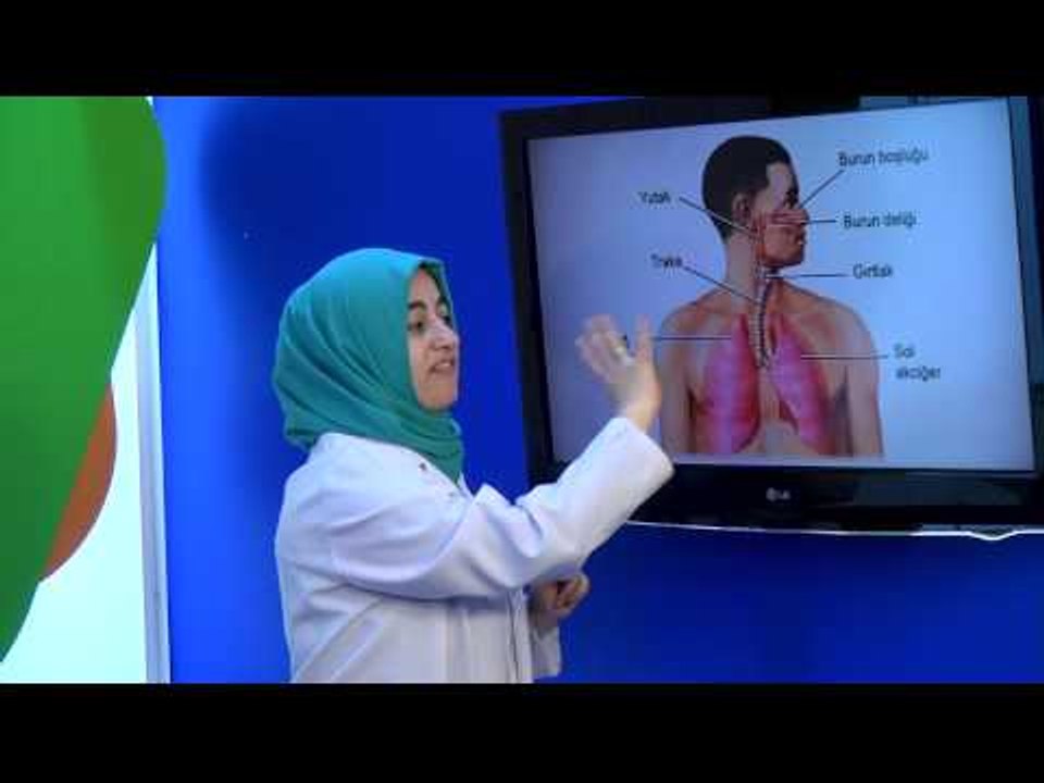 Görüntülü Akademi 6. Sınıf Fen Bilimleri Görüntülü Eğitim Seti (Solunum Sistemleri)