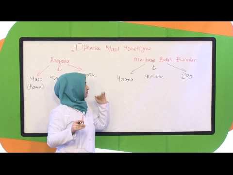 İlköğretim 5. Sınıf Sosyal Bilgiler Eğitim Seti (Ülkemiz Nasıl Yönetilir)