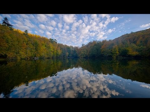 Amenerresulu Arapça Okunuşu ve Meali Fatih Çollak