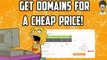 SEO Tutorial Get SEO Domains for a Cheap Price and Which Hostings are Better