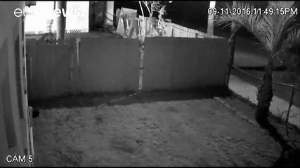 ΗΠΑ: Εμπρησμός στο τέμενος του μακελάρη της Φλόριντα