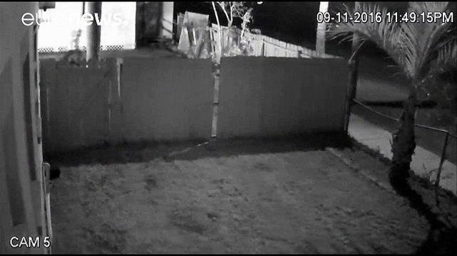 Во Флориде подожгли мечеть орландского стрелка