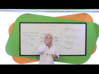 8.Sınıf Fen ve Teknoloji Görüntülü Eğitim Seti (Mitoz ve Mayoz)