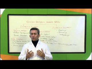 8. Sınıf T.C İnkılap Tarihi Osmanlının Savaştığı Cepheler Konusu