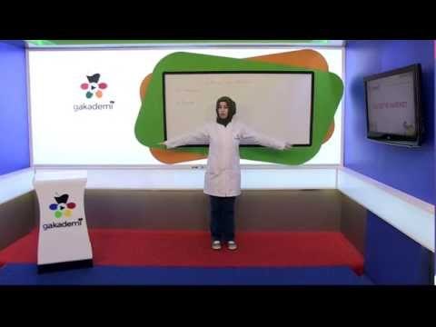 4. Sınıf Fen ve Teknoloji Eğitim Seti Destek Ve Hareket